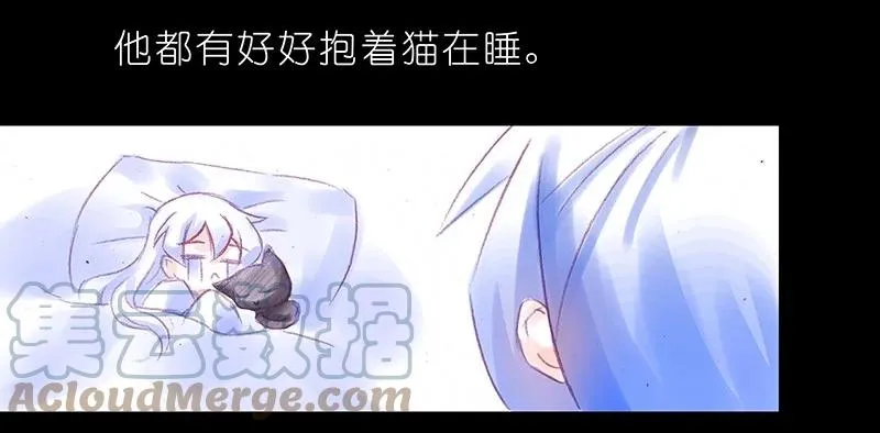 番外46 忽然想养猫坑46