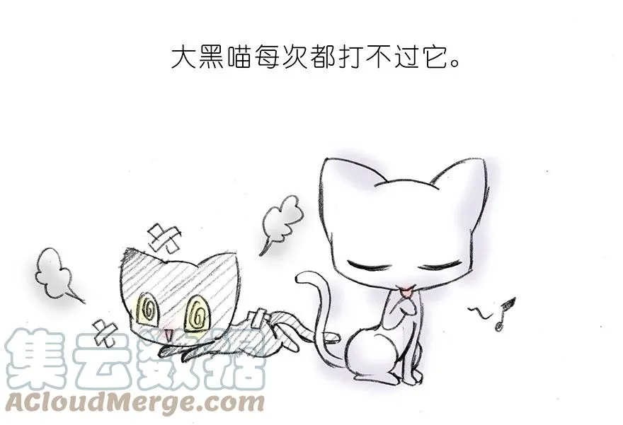 番外15 飞星喵二5