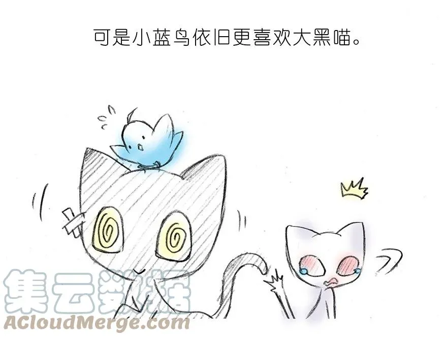 番外15 飞星喵二6