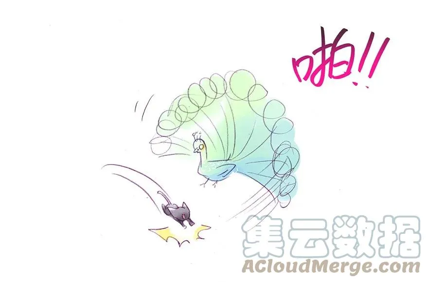 番外30 飞星喵十14