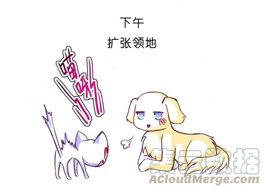 番外27 飞星喵八10
