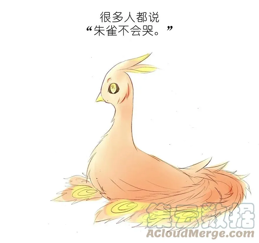 番外32 飞星喵十二2