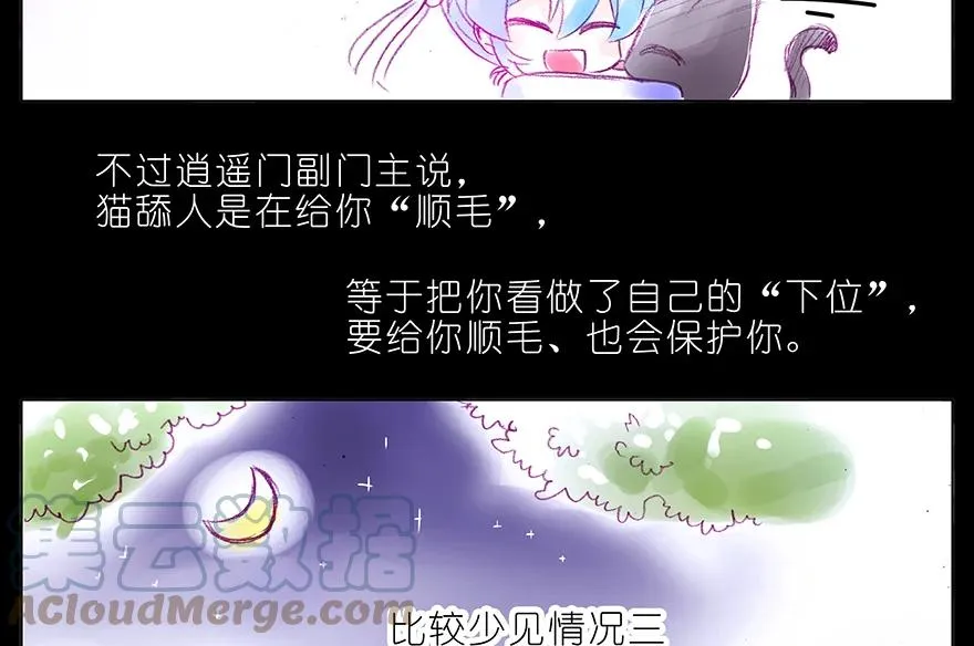 番外 番外：忽然养只猫 六6