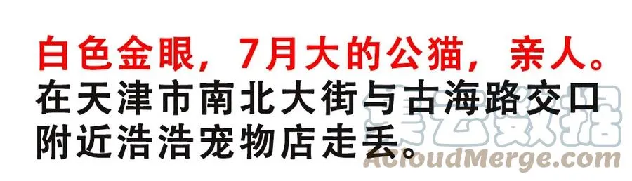 请假条5
