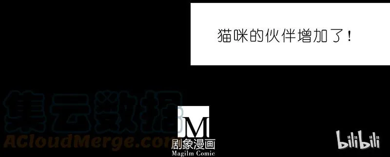 番外44 忽然想养猫坑210