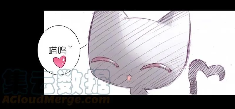 番外45 忽然想养猫坑39