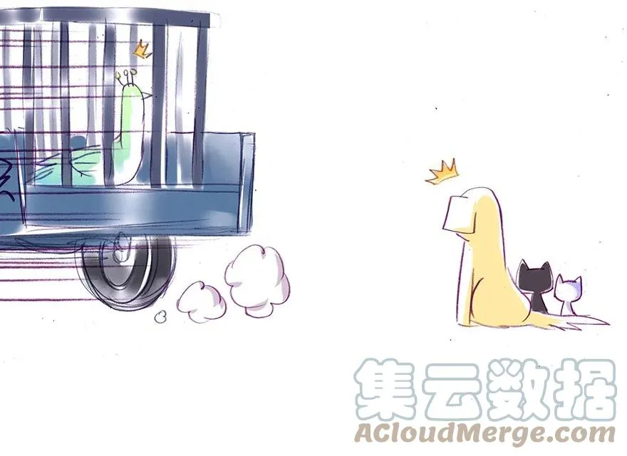 番外26 飞星喵七16