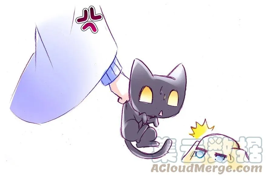 番外28 飞星喵九16