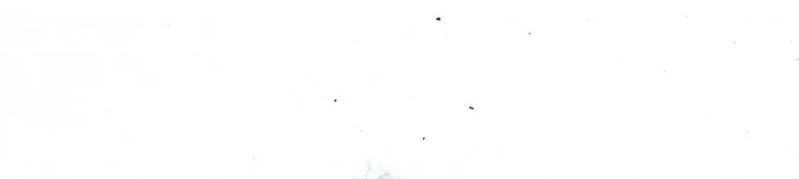 番外13 特典坑二11