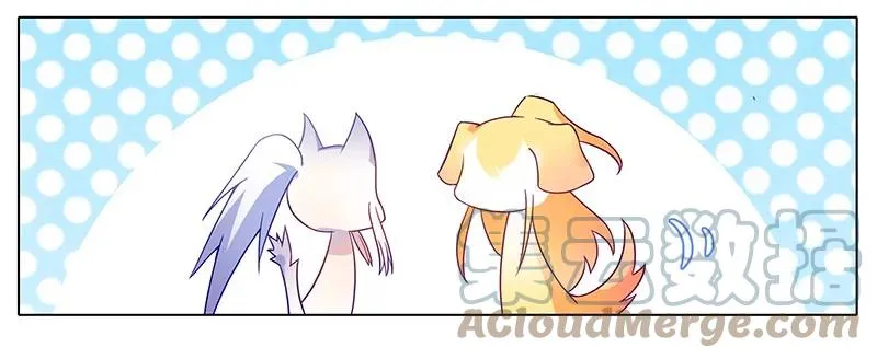 2616