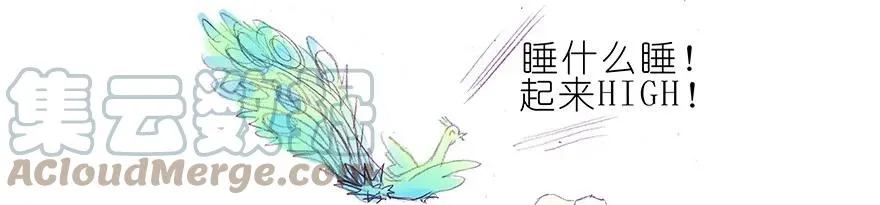 番外37 飞星喵十五10
