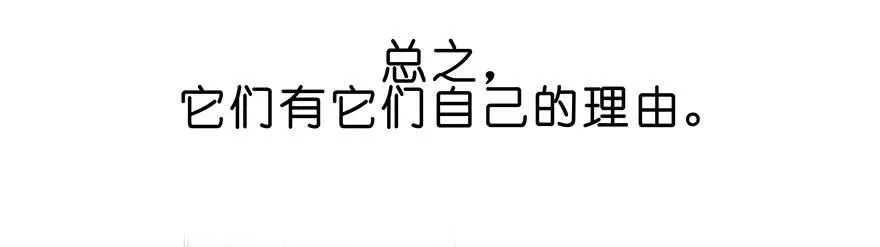 番外25 飞星喵六15