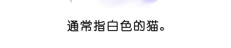 番外26 飞星喵七3