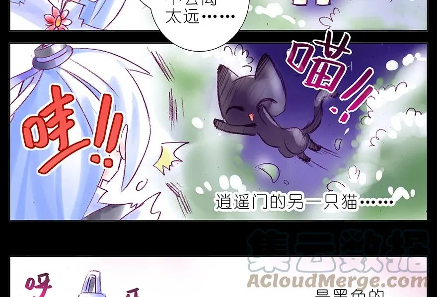番外 番外：忽然养只猫 七4