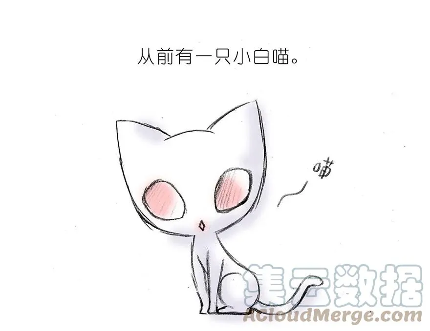 番外15 飞星喵二1