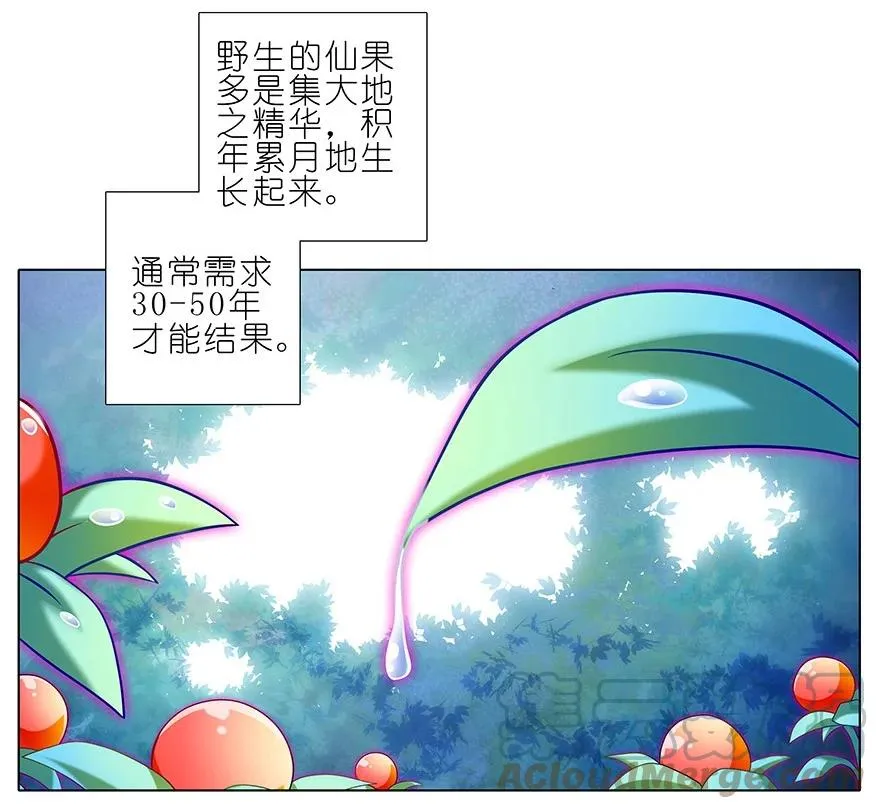 番外244