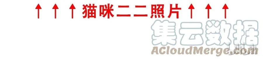 请假条7