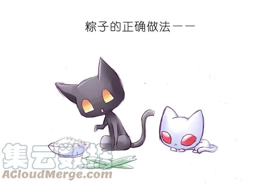 番外34 飞星喵十四2