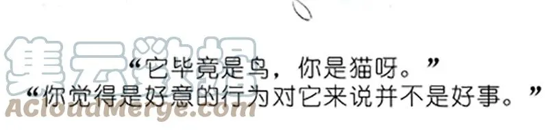 番外20 飞星喵五16