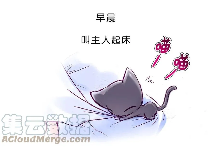 番外28 飞星喵九4