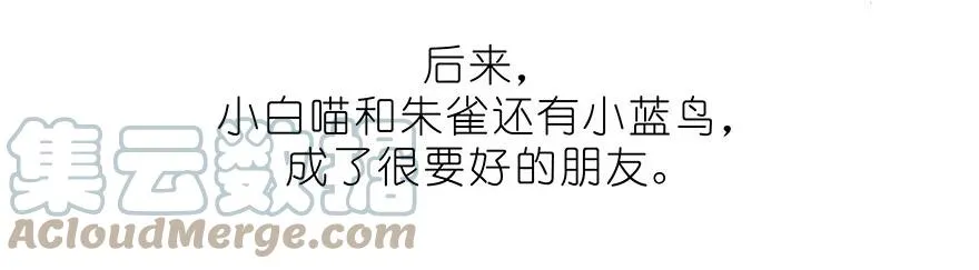 番外32 飞星喵十二10