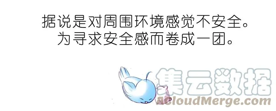 番外37 飞星喵十五4