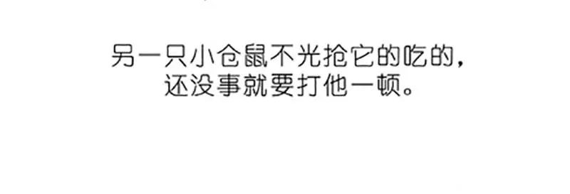 番外19 飞星喵四5