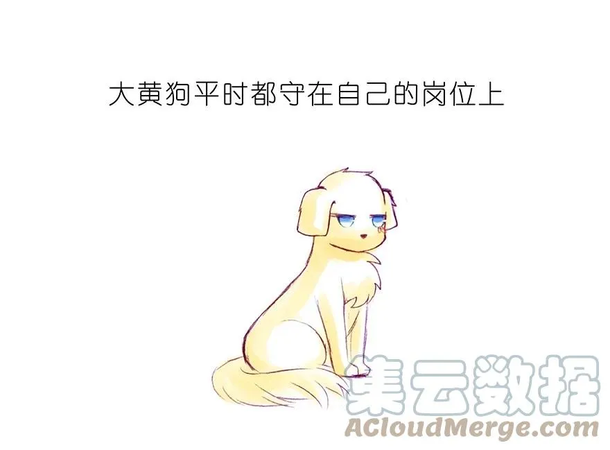 番外30 飞星喵十2