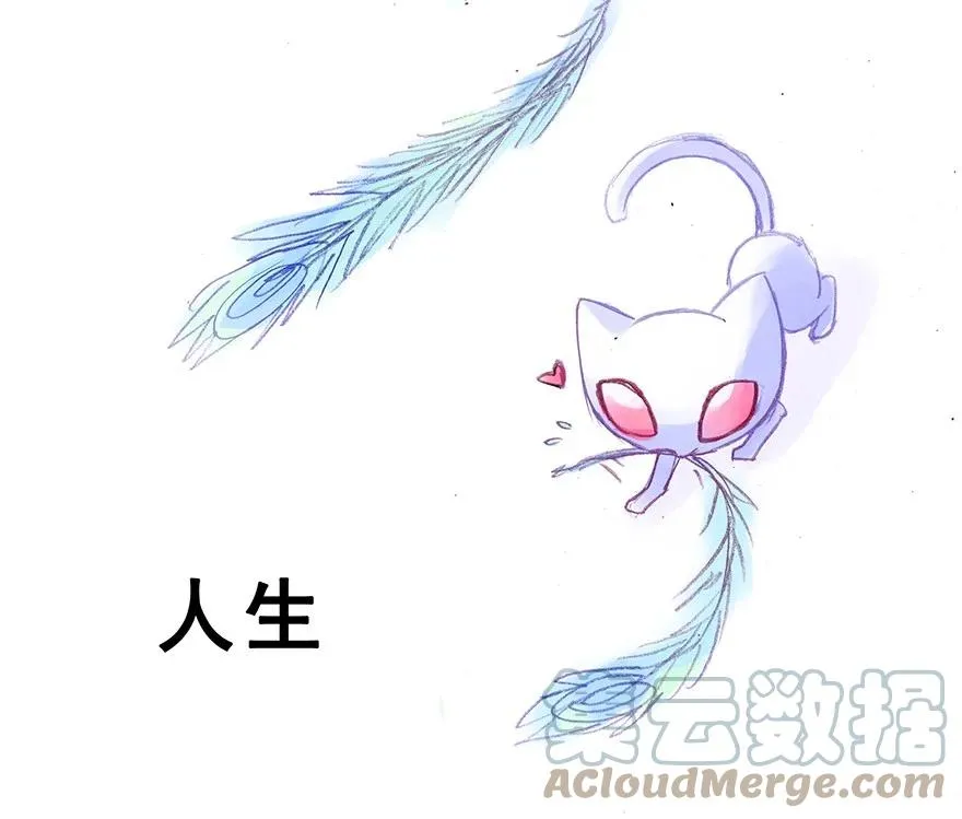 番外31 飞星喵十一3