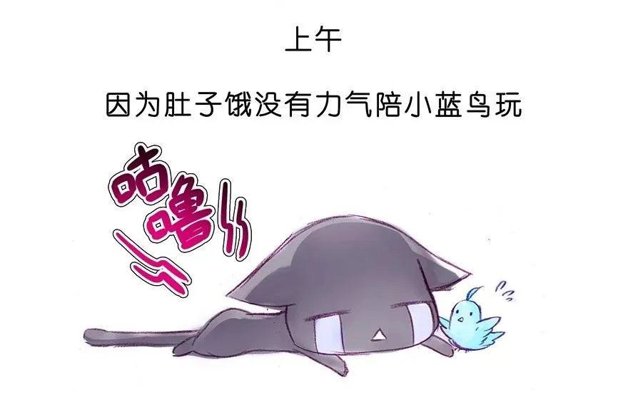 番外28 飞星喵九7