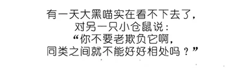 番外19 飞星喵四7