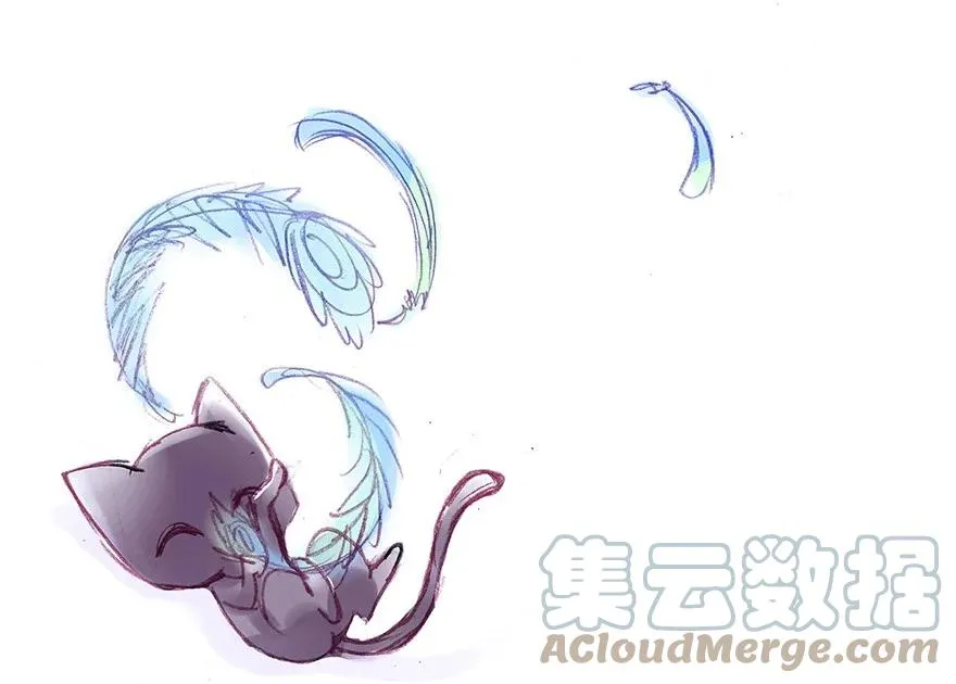 番外31 飞星喵十一4