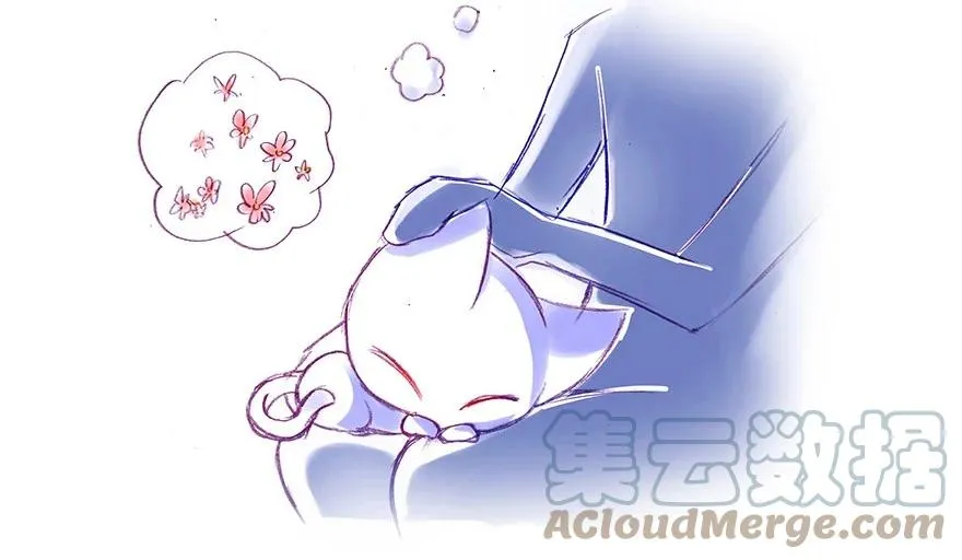 番外25 飞星喵六14