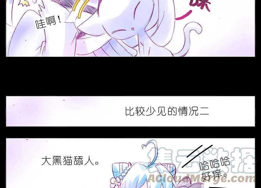 番外 番外：忽然养只猫 六5