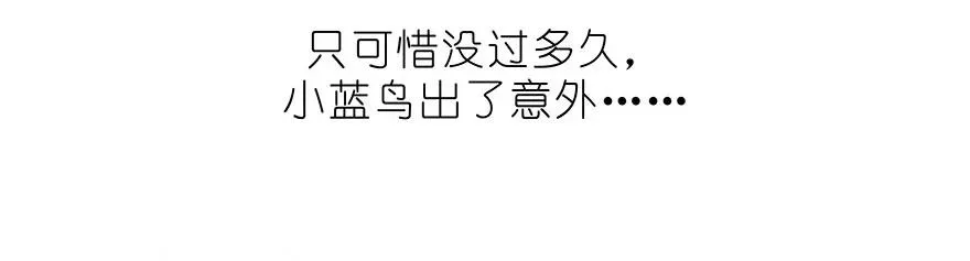 番外32 飞星喵十二11
