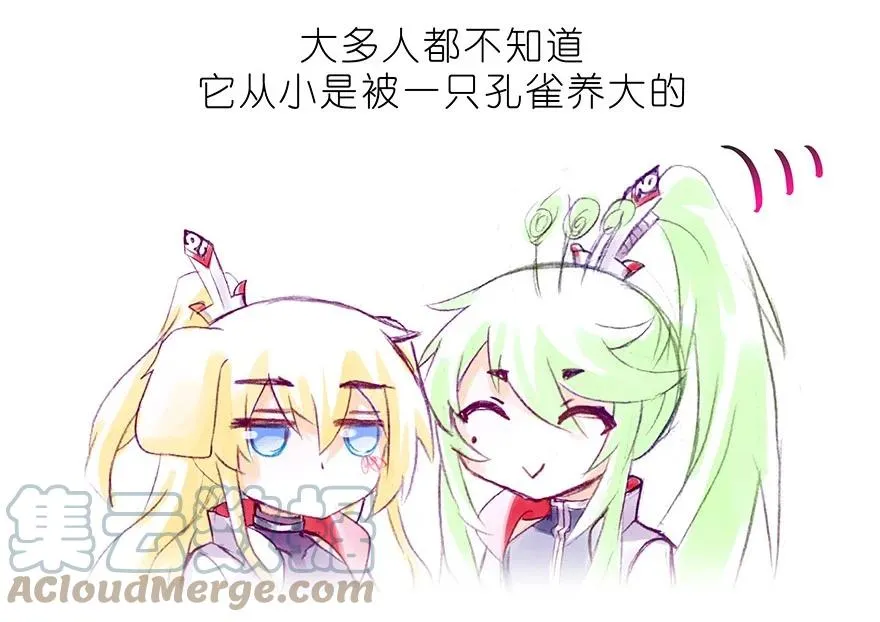番外30 飞星喵十4