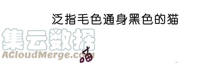 番外26 飞星喵七6
