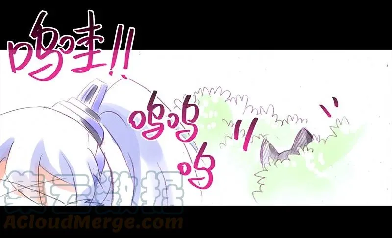 番外45 忽然想养猫坑36
