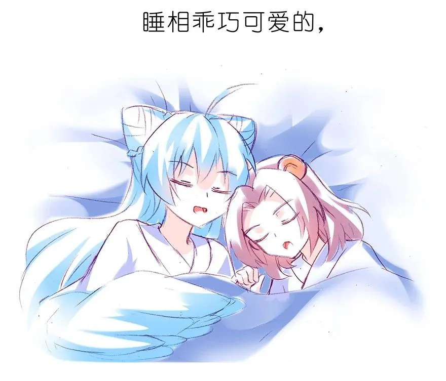 番外37 飞星喵十五5