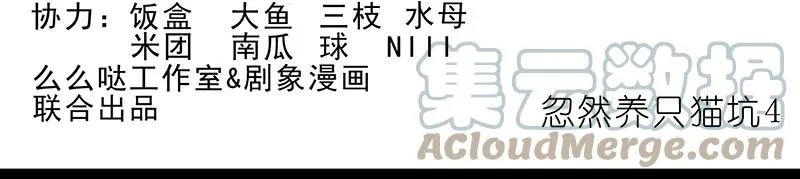 番外46 忽然想养猫坑41