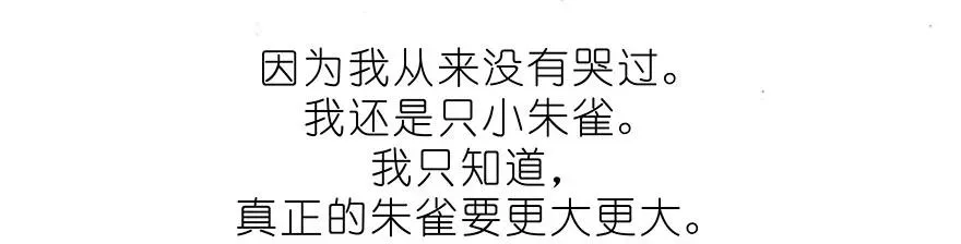 番外32 飞星喵十二7