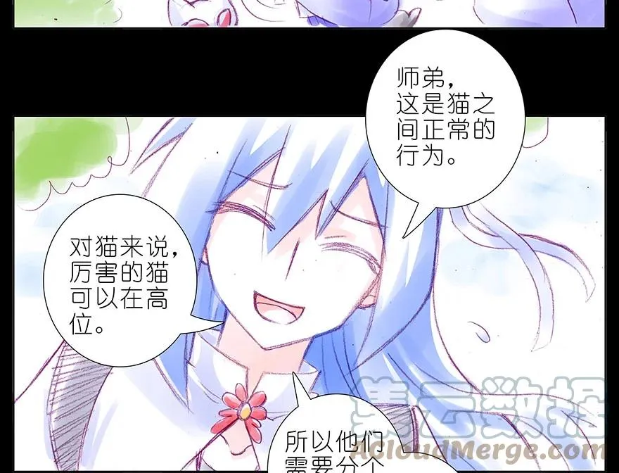番外 忽然养只猫 八5