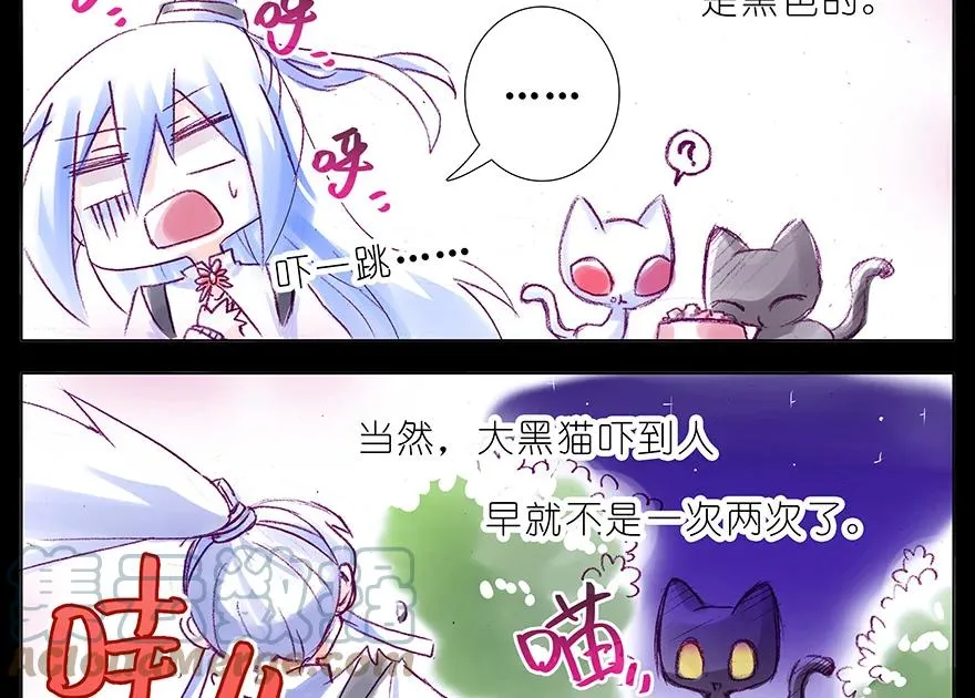 番外 番外：忽然养只猫 七5