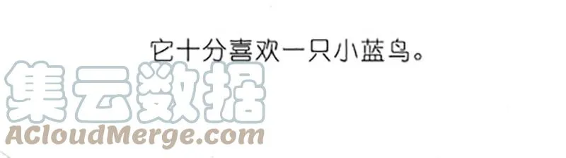 番外20 飞星喵五2