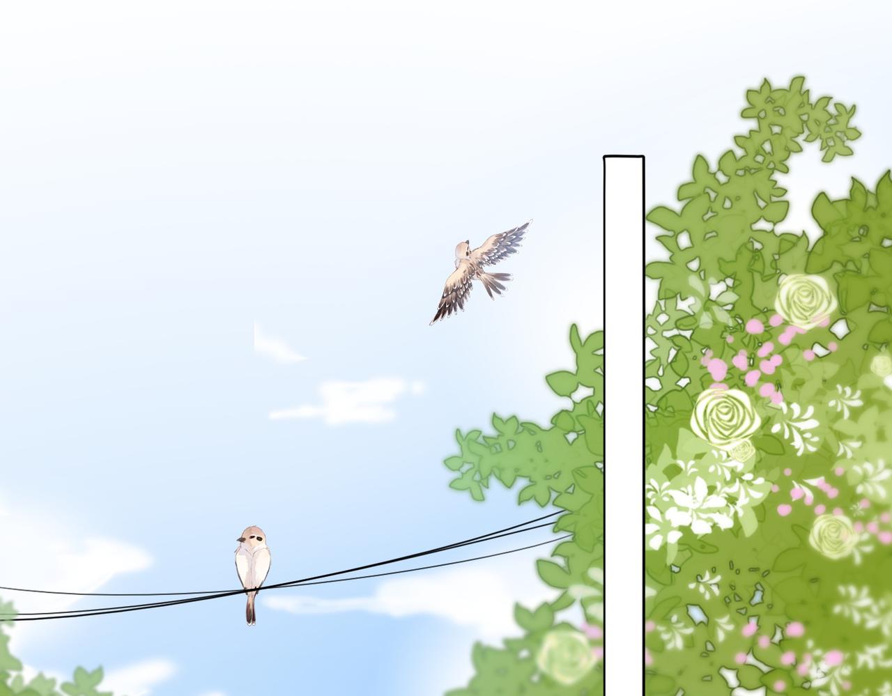 第54话真正的爱64