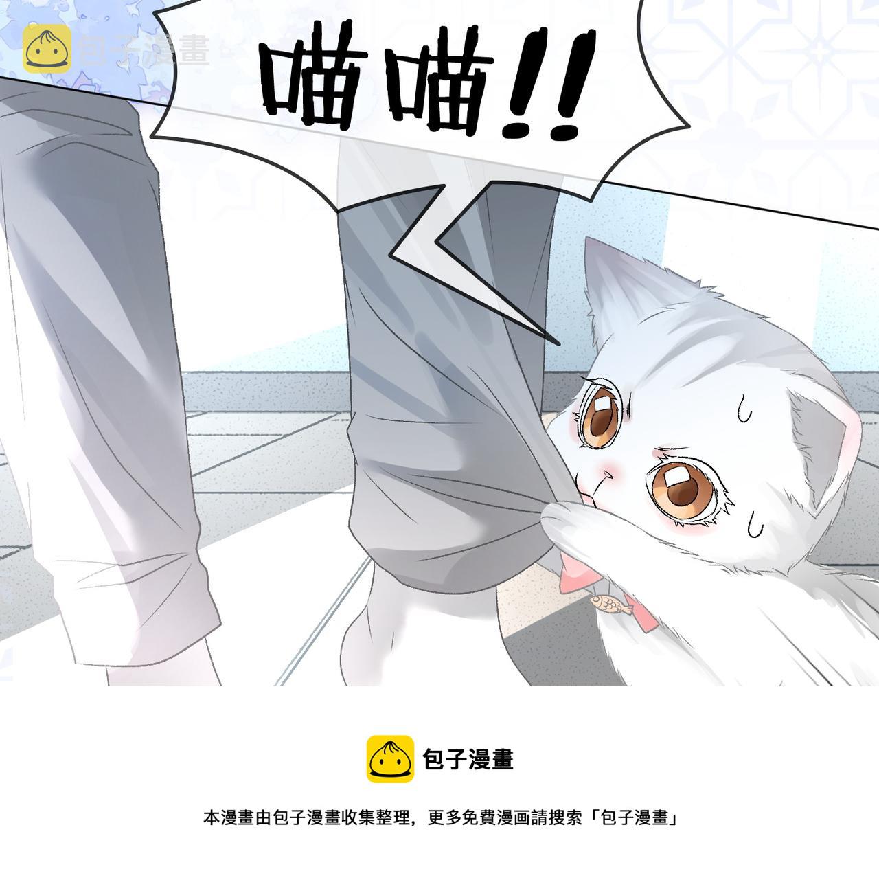 第11话 兔兔生病了？！8