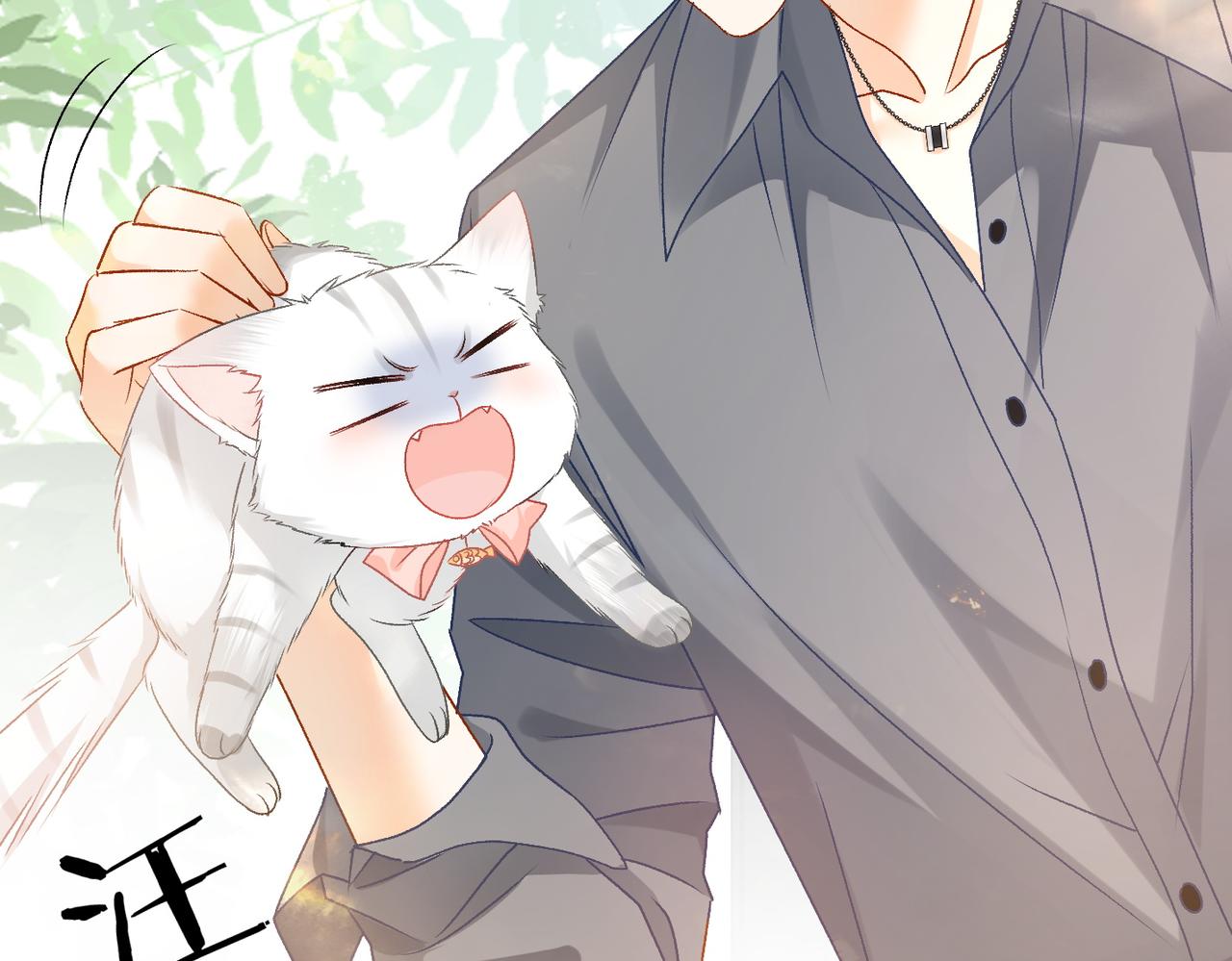 第65话 吃醋的嘴硬兔兔53
