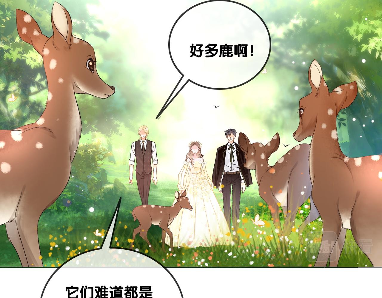 第50话 绝美森林拍摄55