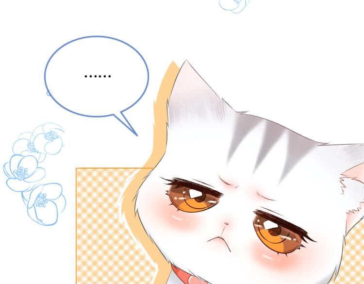 第13话 “绿茶”影帝？28