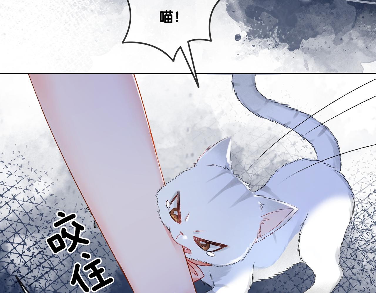 第31话 小脑斧受伤了？38